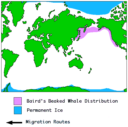Baird's Beaked whale Distribution Map