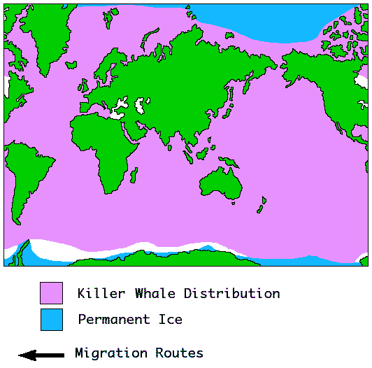 Killer whale Distribution Map