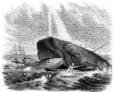Sperm whales were known to attack - Library of Congress