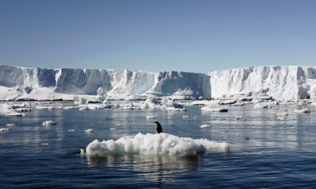 A Big New Marine Park for the East Antarctic