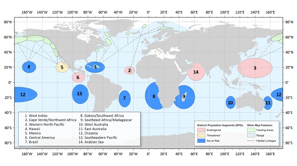 Humpback Distinct Population Segement Map