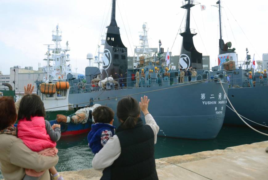 Two whaling ships leave for Antarctica