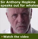 Sir Anthony Hopkins for Greenpeace